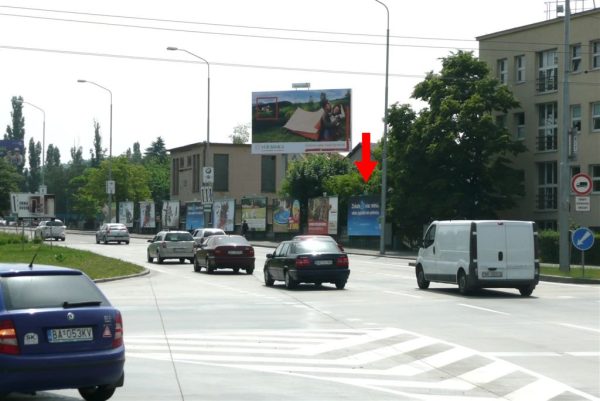 5319 - BILLBOARD