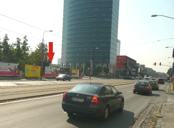5565 - BILLBOARD